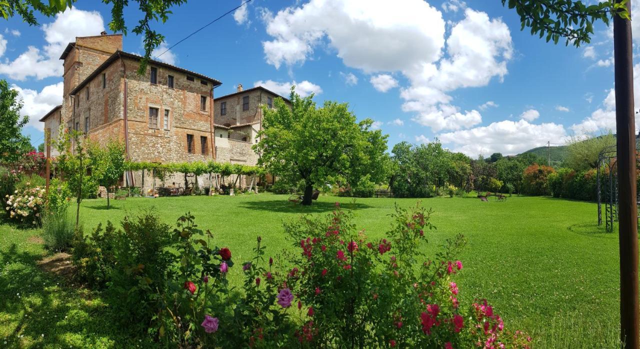 Agriturismo Abbazia Sette Frati A Casa Di Sara Pietrafitta  外观 照片