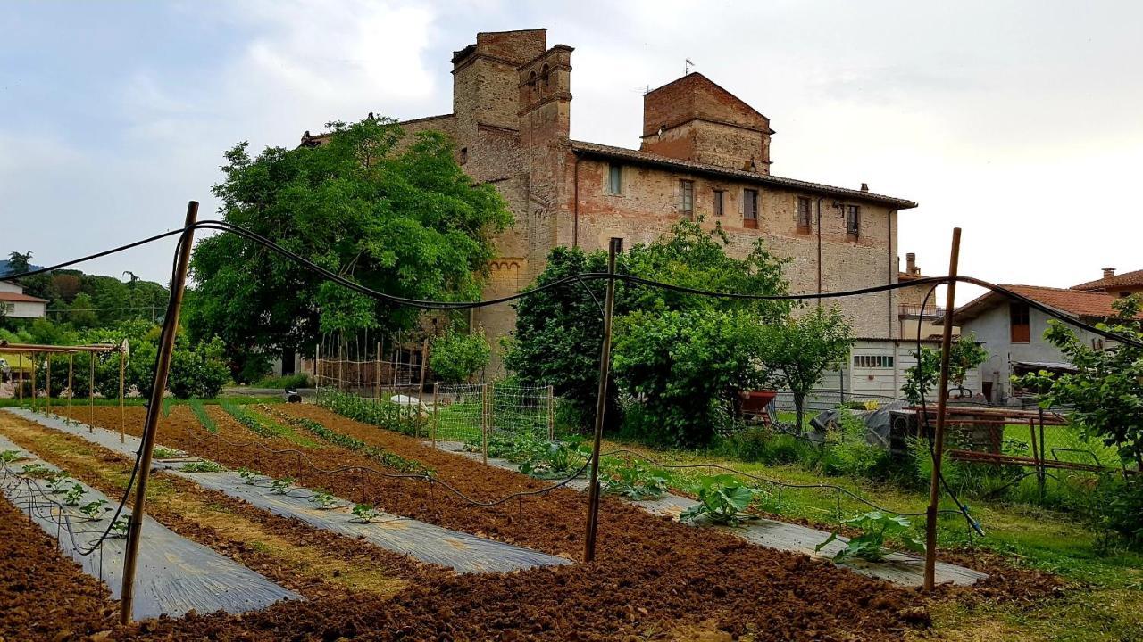 Agriturismo Abbazia Sette Frati A Casa Di Sara Pietrafitta  外观 照片