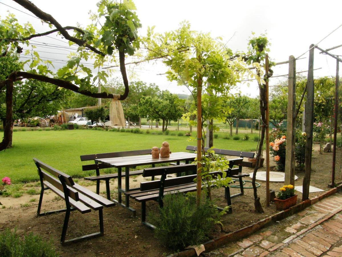 Agriturismo Abbazia Sette Frati A Casa Di Sara Pietrafitta  外观 照片