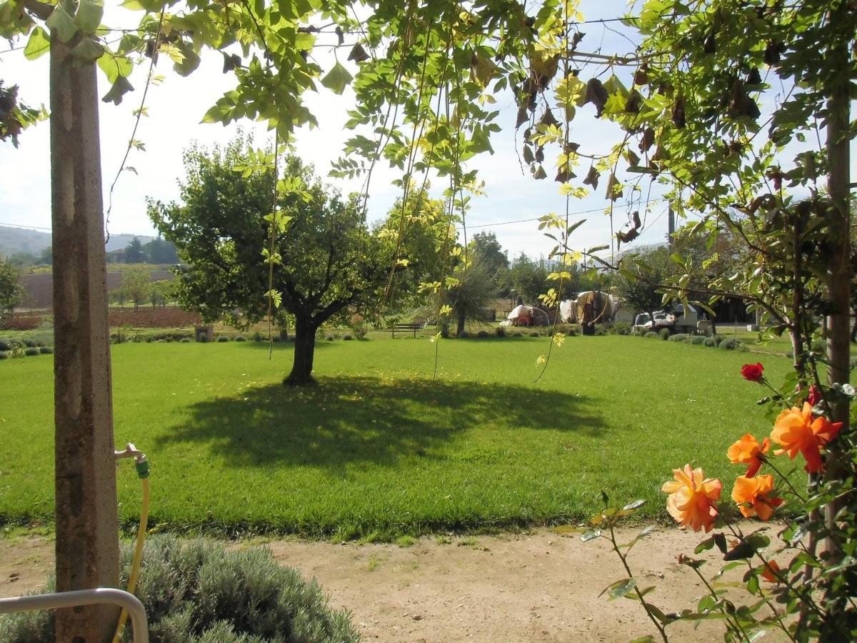 Agriturismo Abbazia Sette Frati A Casa Di Sara Pietrafitta  外观 照片
